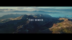 Turkish Airlines "5 Senses"