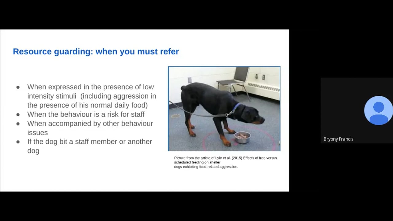 Dog Behaviour Matrix Explained - Dog Behaviour Problems Triage 1 - RSPCA Staff Contributors