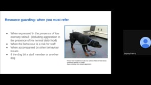Dog Behaviour Matrix Explained - Dog Behaviour Problems Triage 1