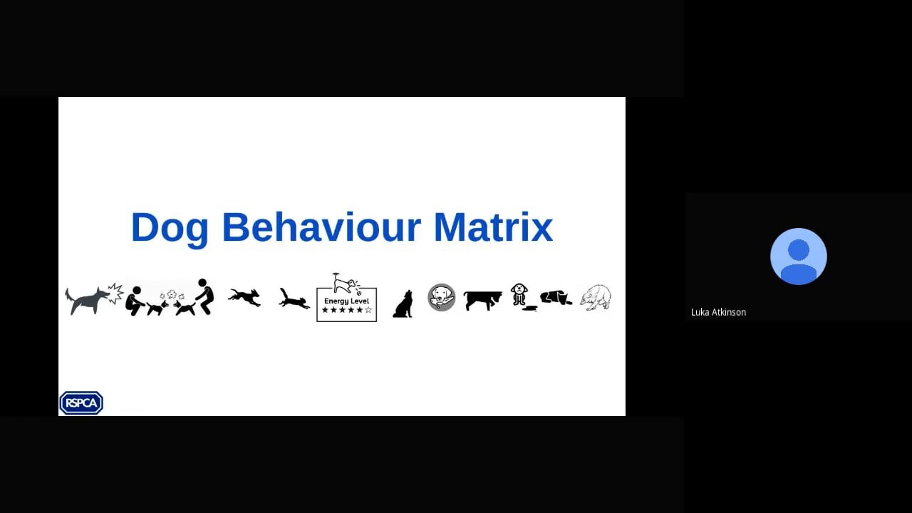 Dog Behaviour Matrix explained - Dog behaviour problems triage 2 - RSPCA Staff Contributors