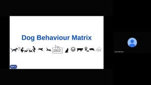 Dog Behaviour Matrix explained - Dog behaviour problems triage 2