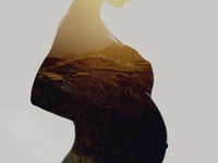 Pregnancy & Civilization, The Power of Pregnant Women Over Our Future