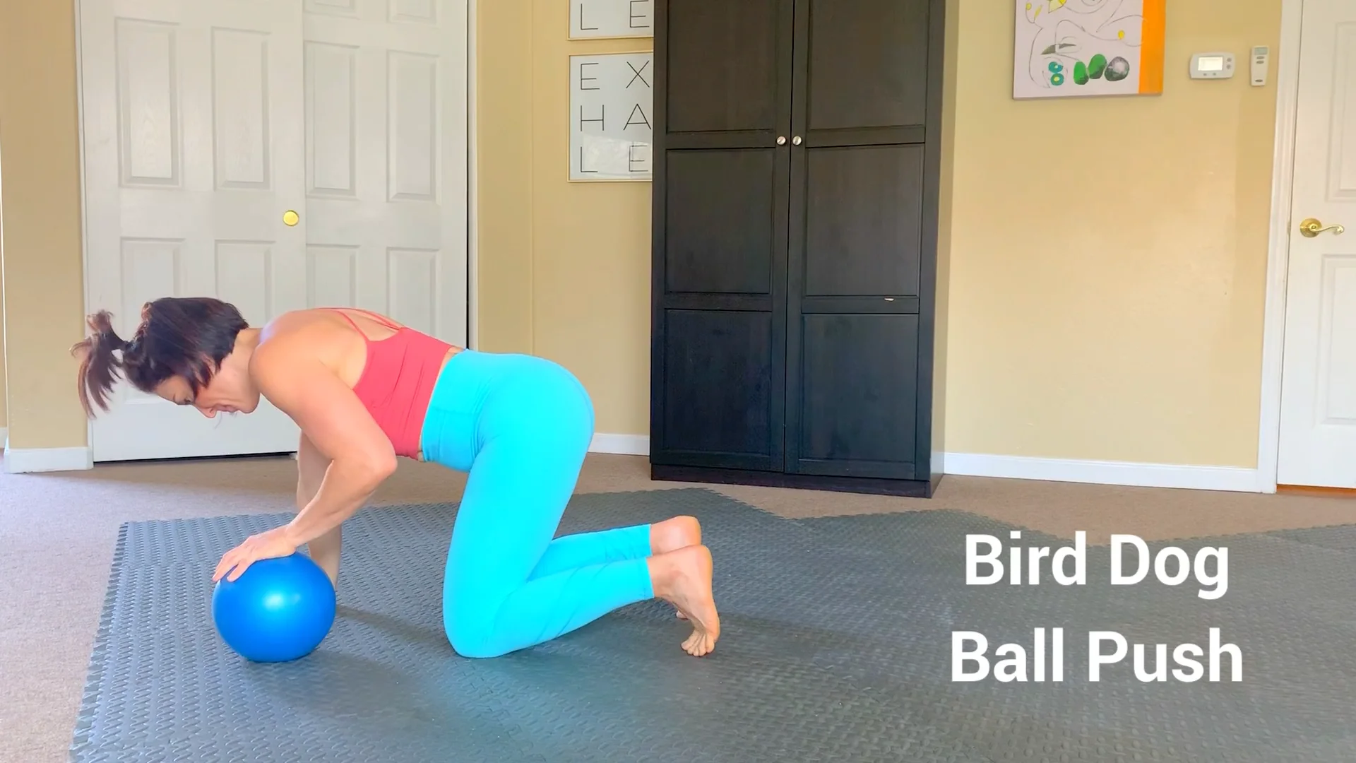 bird dog stability ball