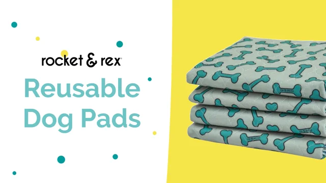 Rocket & Rex Washable Reusable Pee Pads For Dogs - L- 2ct : Target