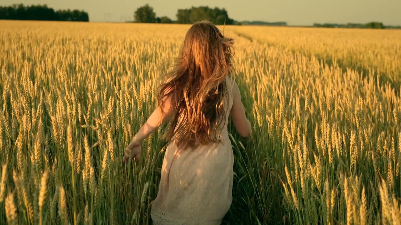 Proud to Be Rural — LCHC brand film