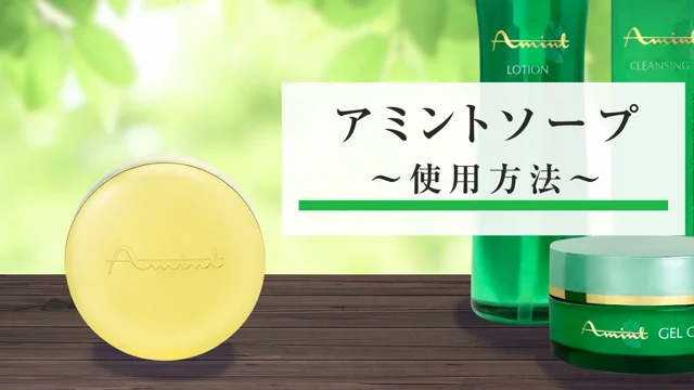 アミントコスメセット 株式会社アミンアミントコスメセット