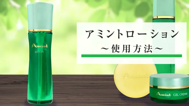 株式会社アミンアミントコスメセット