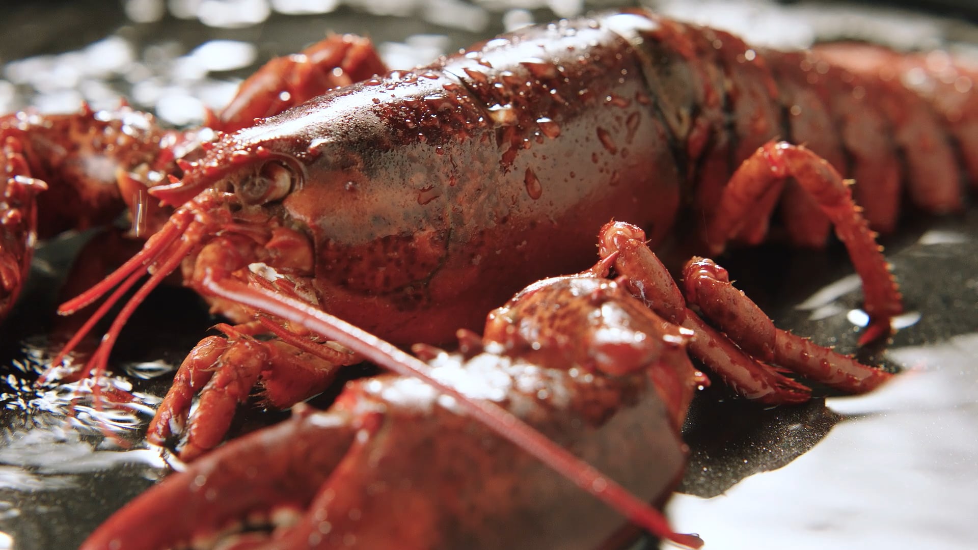 GOODEATS : Eat Good, Feel Good