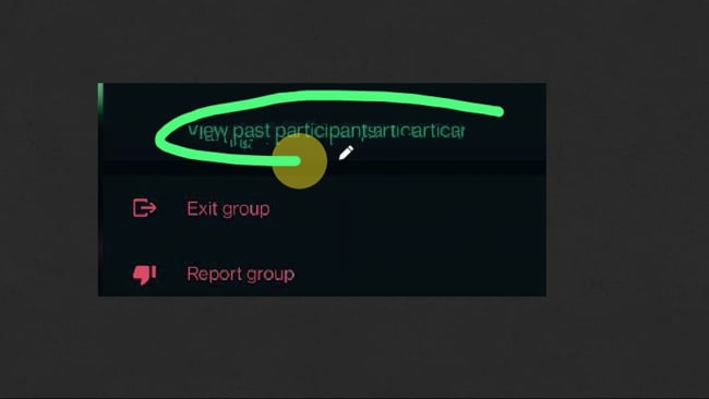 Neue WhatsApp Gruppen Funktion