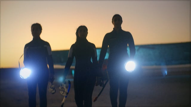 نيوم X وايرد