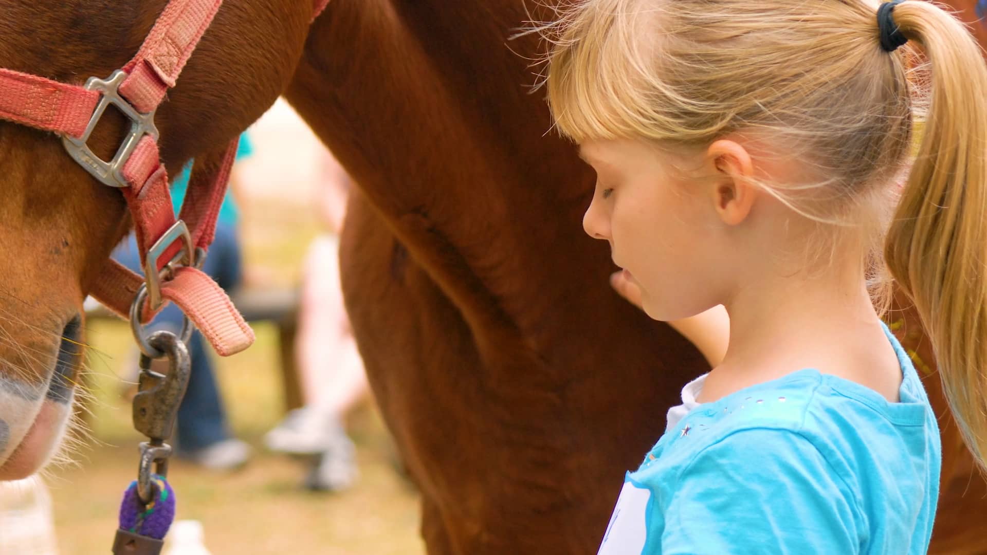 Equine Therapy at Phoenix Center on Vimeo