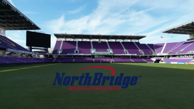 Stadium Facts  City of Orlando Venues