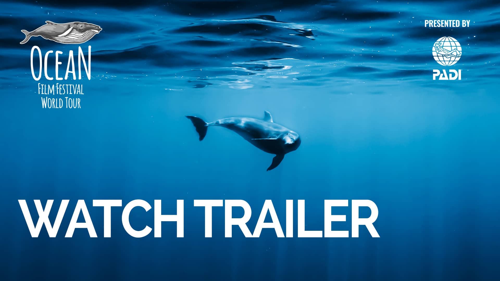 ocean film tour 2022 trailer