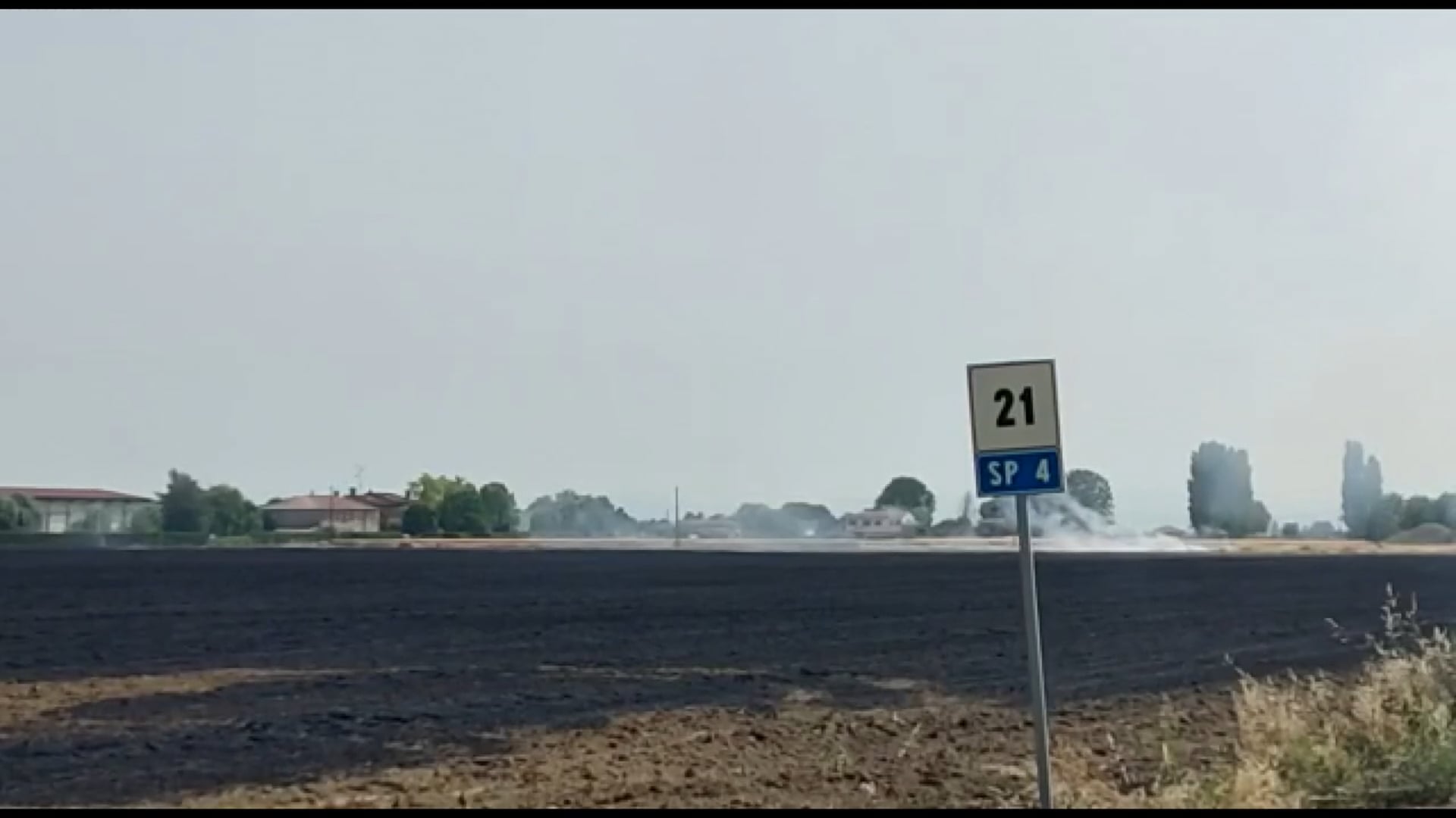 San Pietro in Casale, maxi incendio in un campo di grano in via Salami éTV Rete 7