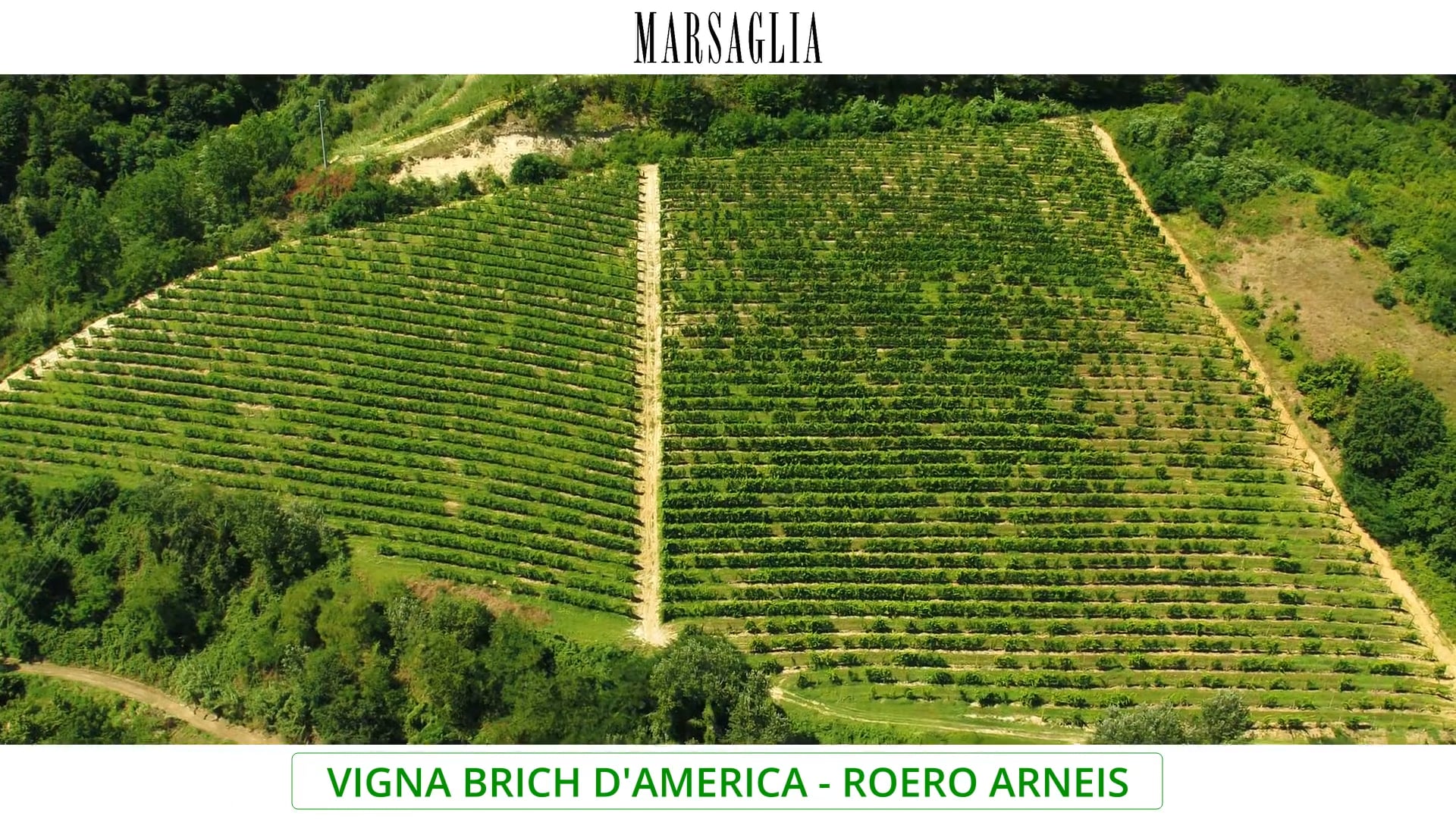 Vigna "Brich d'America" | Vitigno Arneis