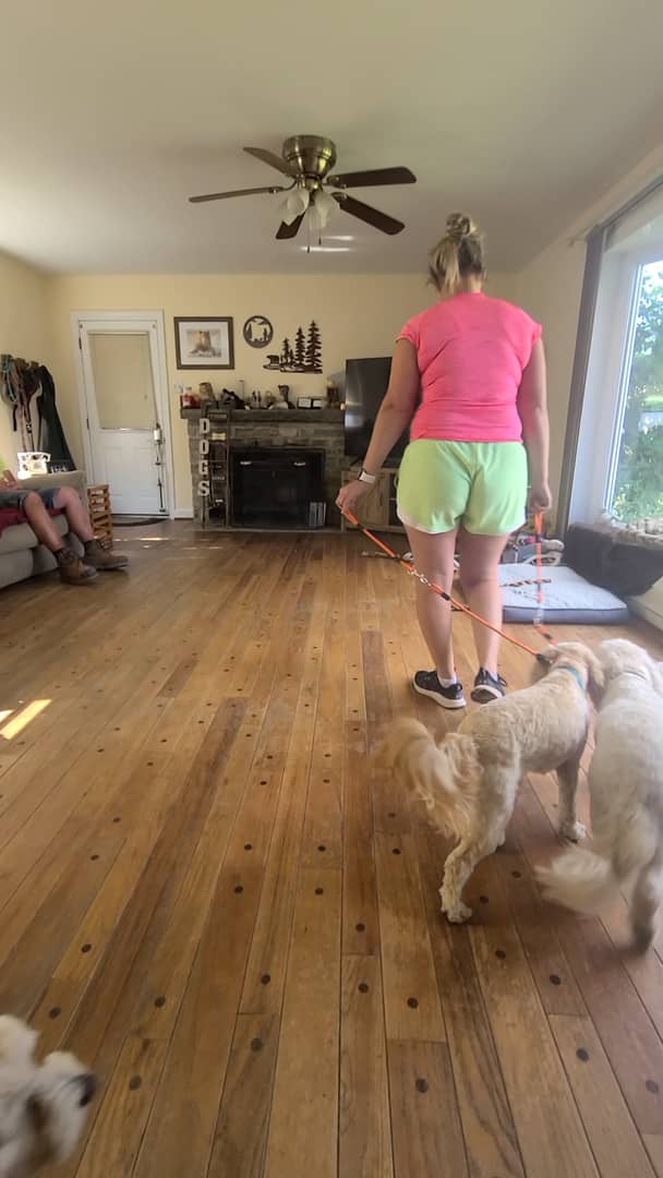 Three Dog Pack Walk on Vimeo