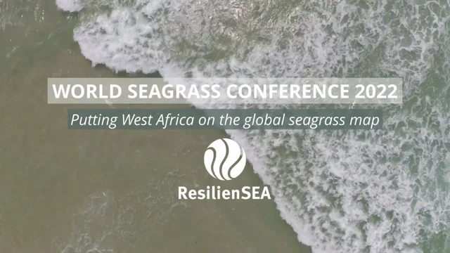 World Seagrass Day – What is it all about?
