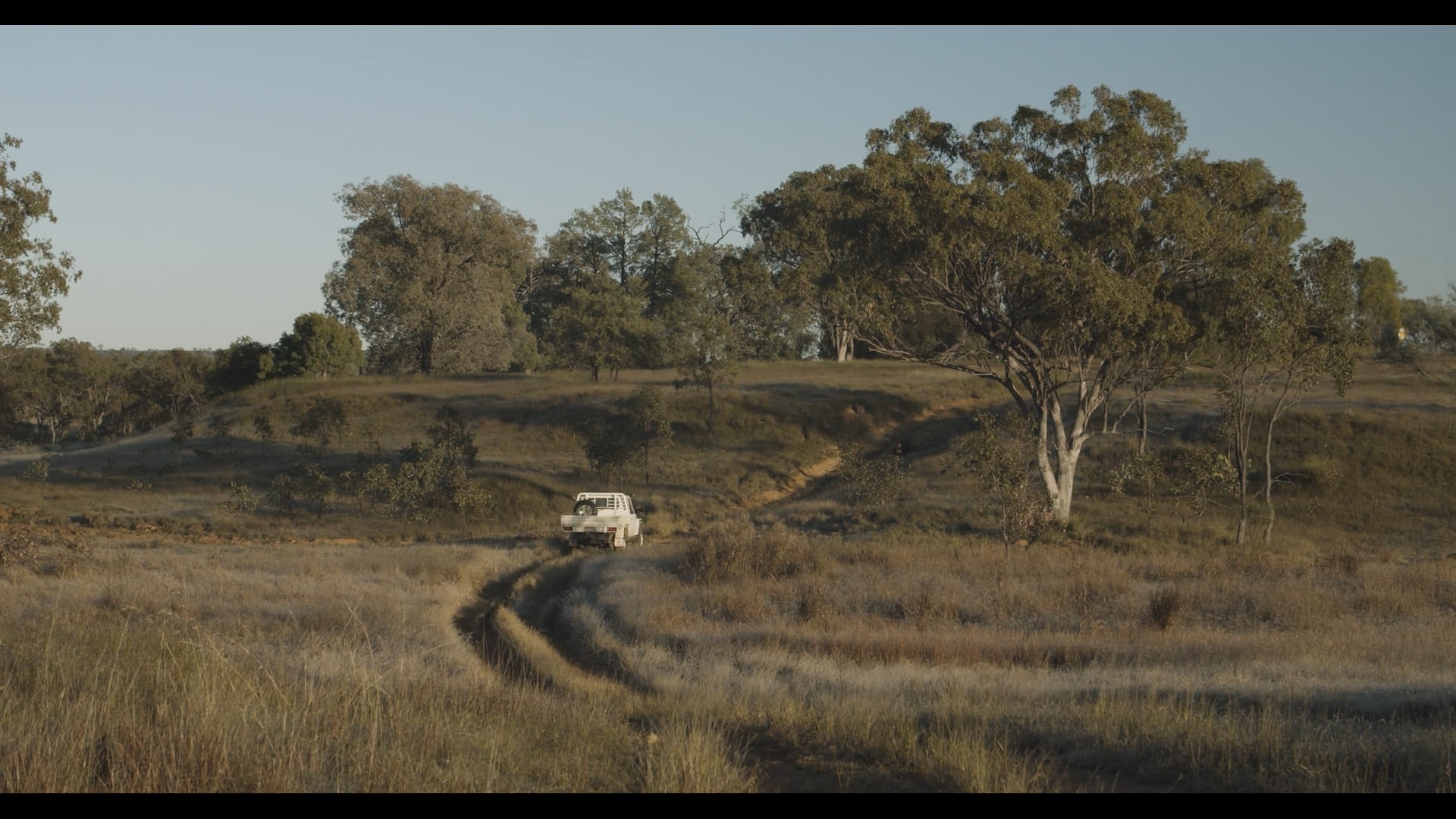 Packhorse Pastoral Company Update August 2022 on Vimeo