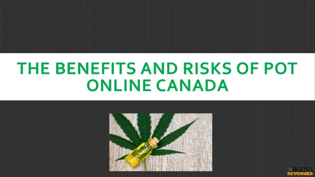 The Benefits And Risks Of Pot Online Canada.mp4