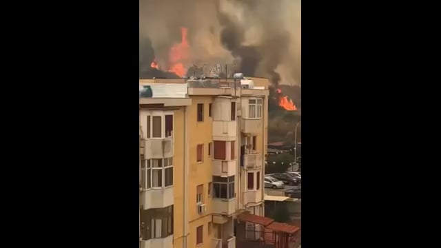 Roghi a Palermo: Borgo Nuovo in fiamme