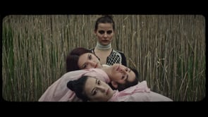 Related Embedded Video Item Thumbnail