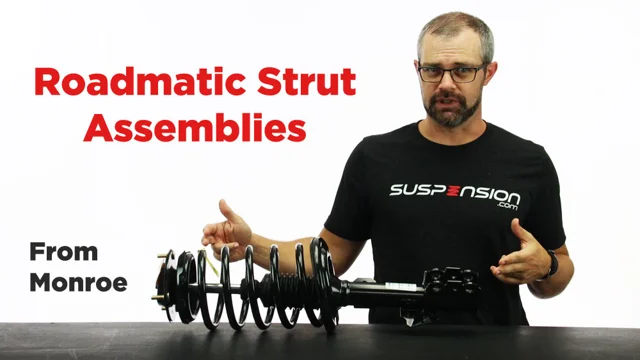 Monroe Roadmatic Strut Assembly