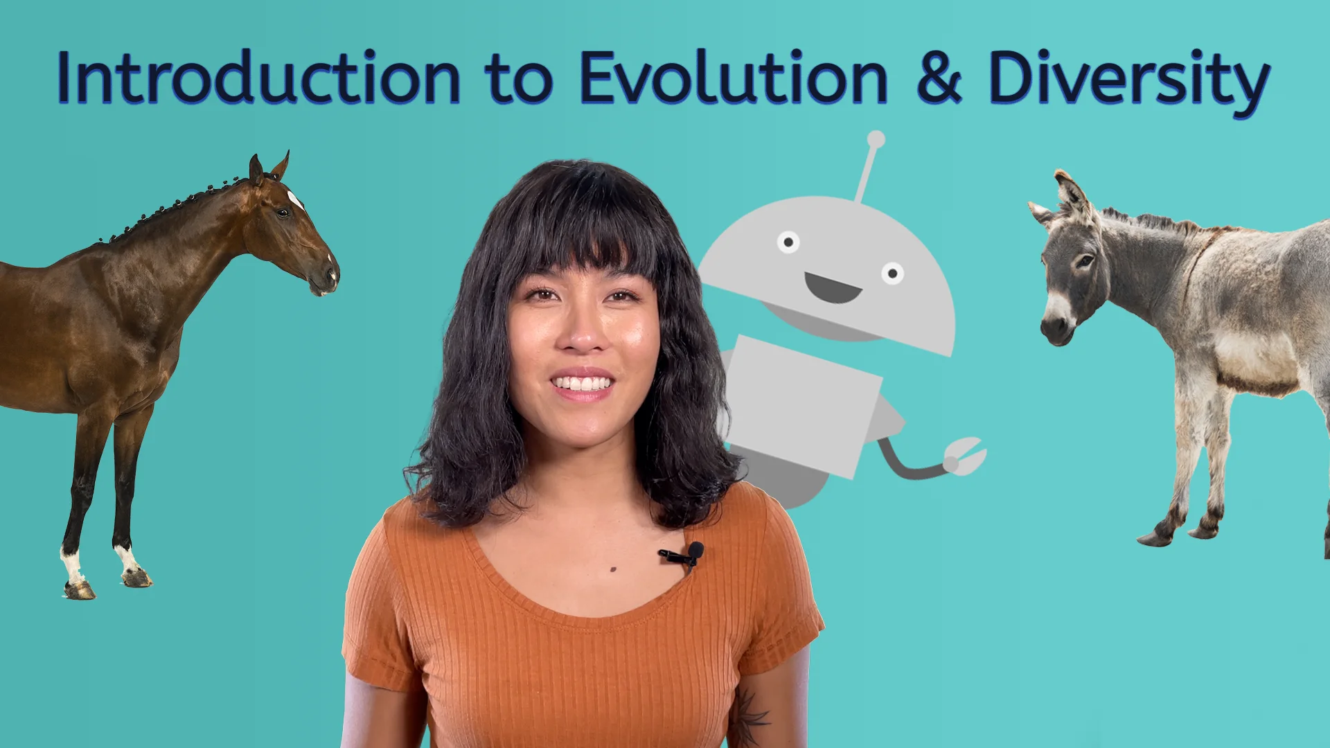 Introduction to Evolution & Diversity on Vimeo