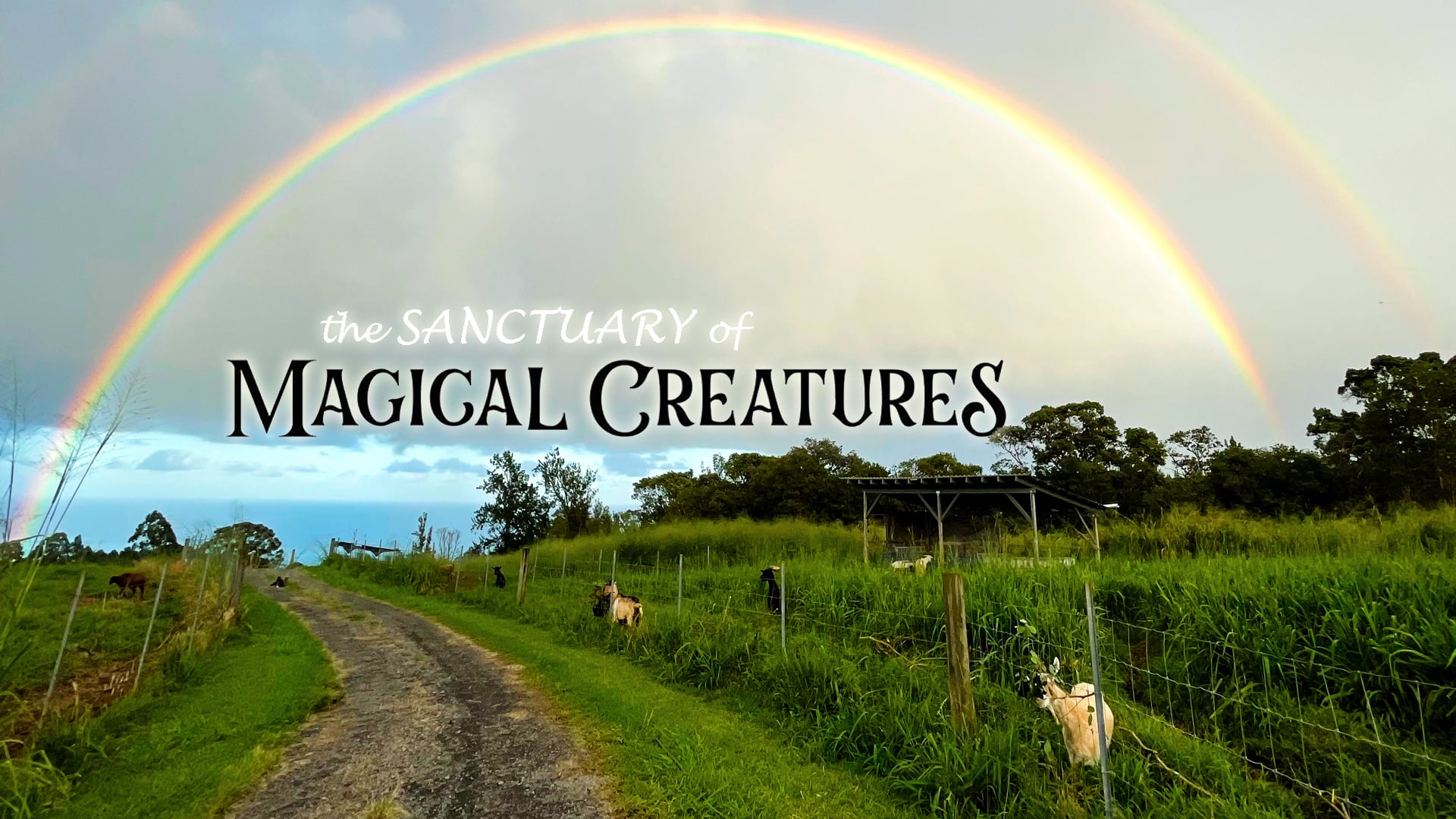 the SANCTUARY of MAGICAL CREATURES (2022)