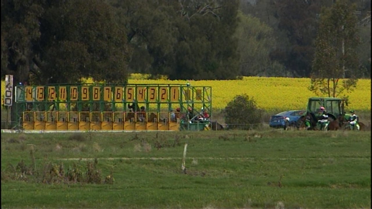 Berrigan Race 4 20/08/22