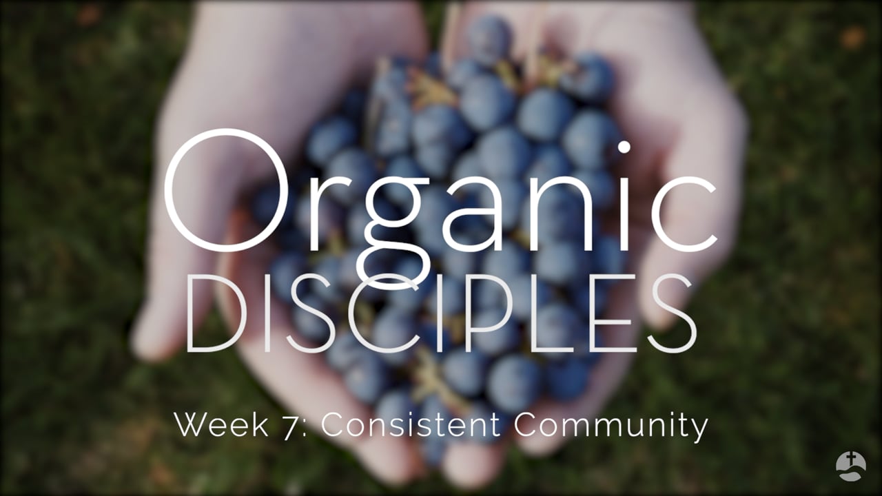 Organic Disciples: Why Do We Need Consistent Community?