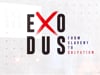 Exodus 3&4 | The Great "I Am"  | Troy Nicholson | 8.21.22