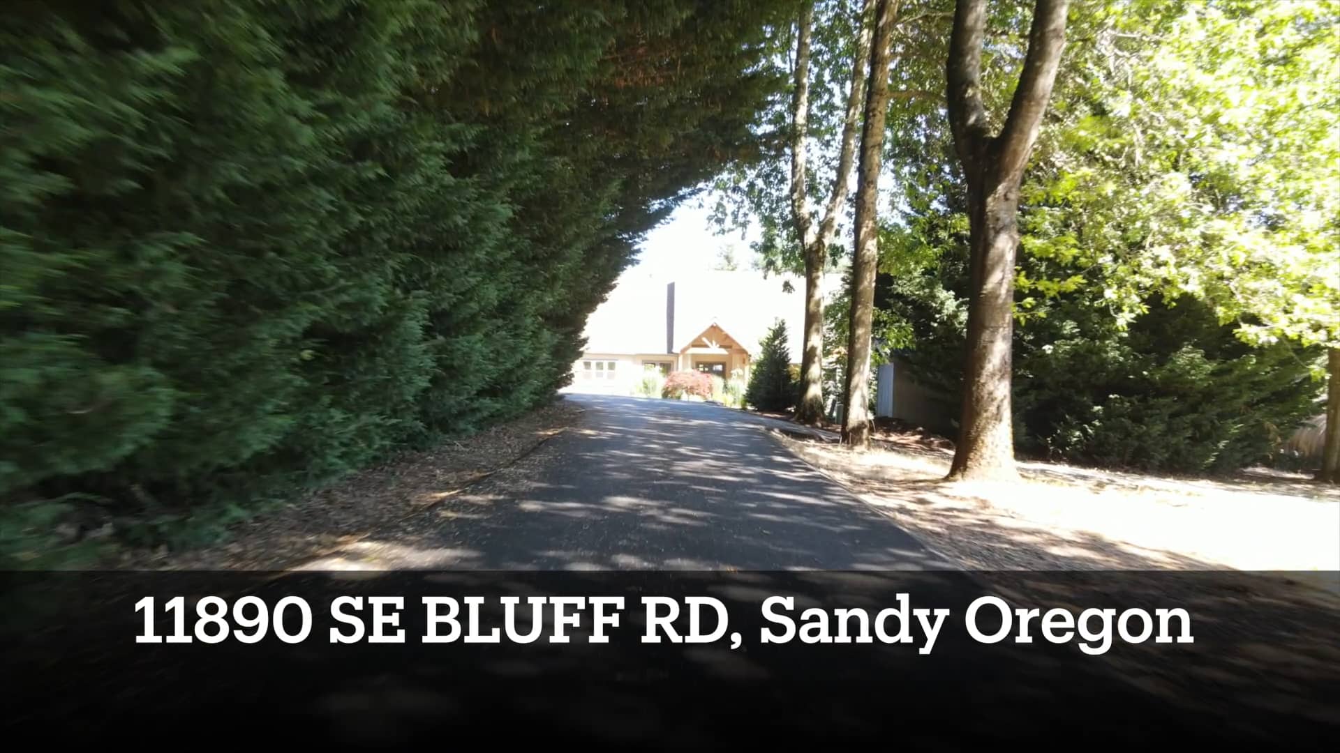 Bluff road, Short on Vimeo