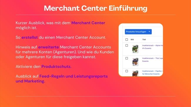 Merchant Center: Der erste Einblick
