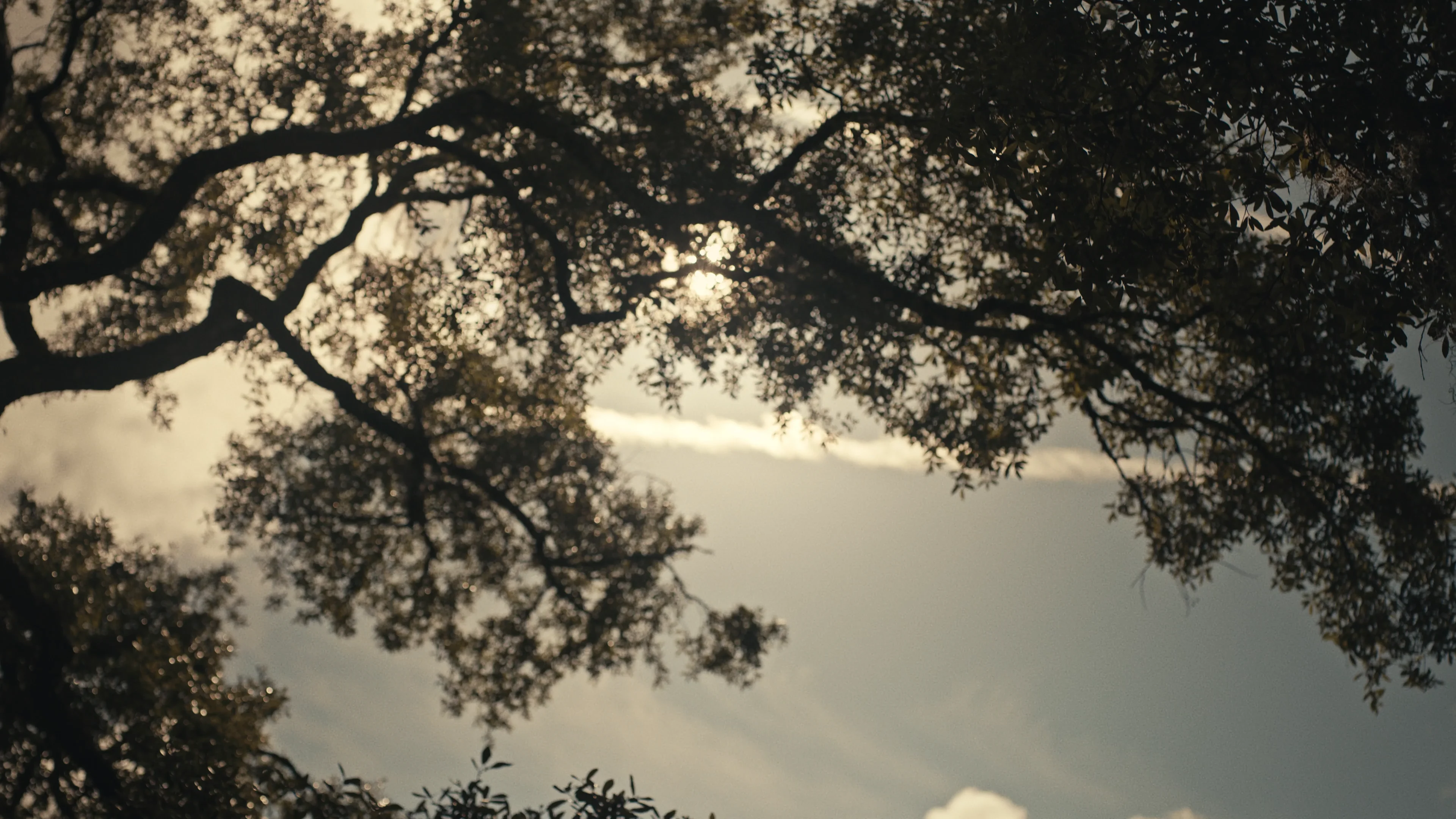 Bulletproof Vest Grant Program on Vimeo