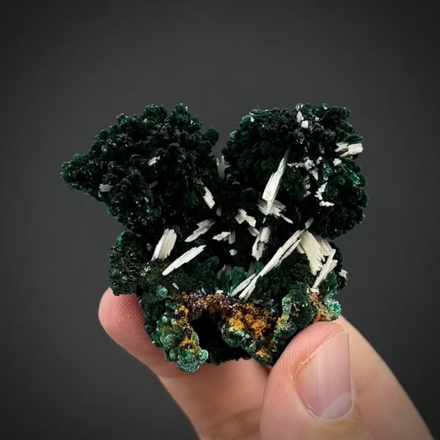 Malachite after Azurite and Cerussite (RARE combo) Hefendehl Coll.