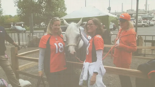 Denver Broncos team mascot Arabian horse Thunder wears a Santa hat during  the game against the San Diego Chargers at Sports Authority Field at Mile  High in Denver on December 12, 2013.