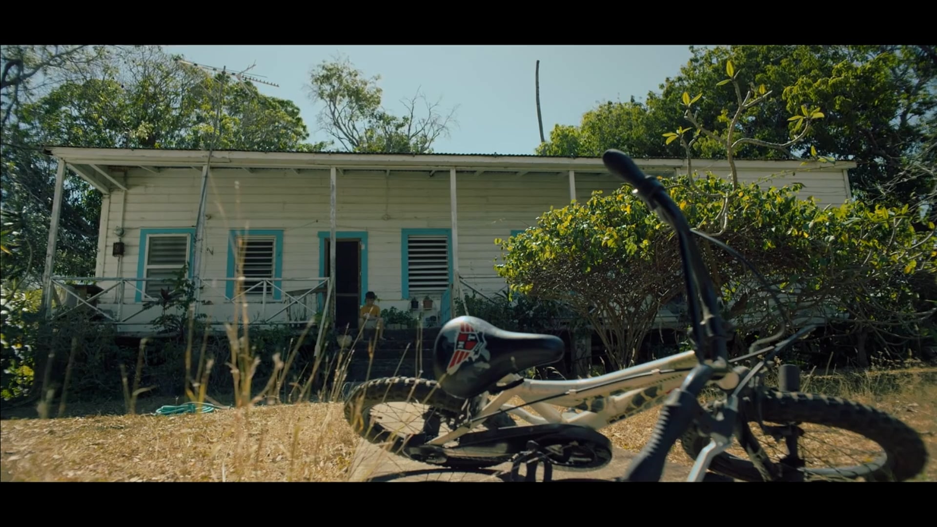 MUSIC VIDEOS