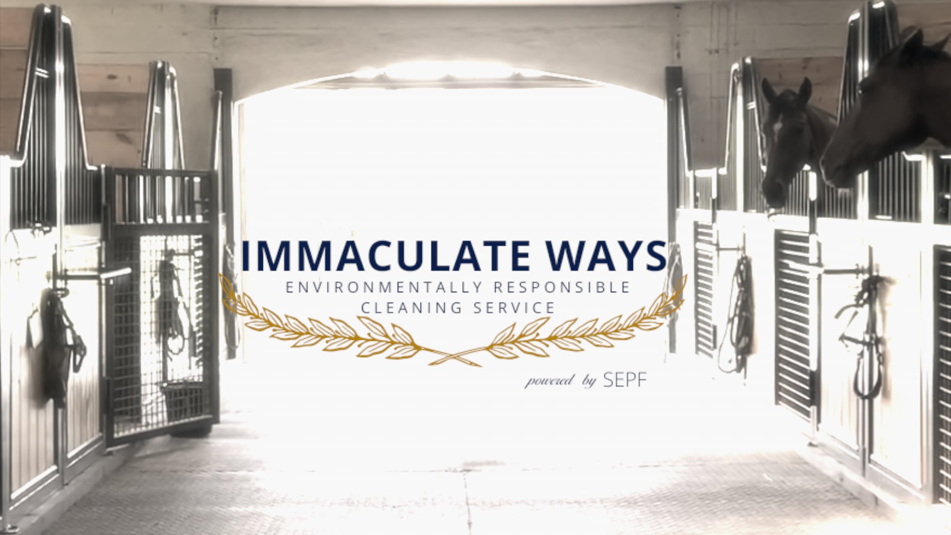 stall cleaning service clip on Vimeo