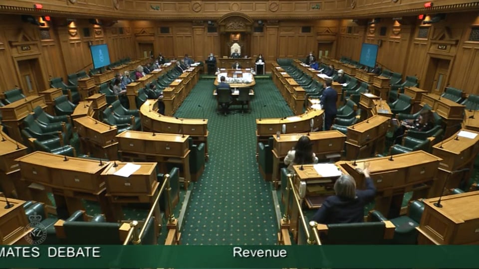 Estimates Debate Revenue Committee Stage Video 18 on Vimeo