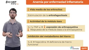 Anemias no regenerativas