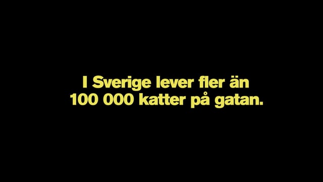 Stoppa Kattastrofen - Casefilm