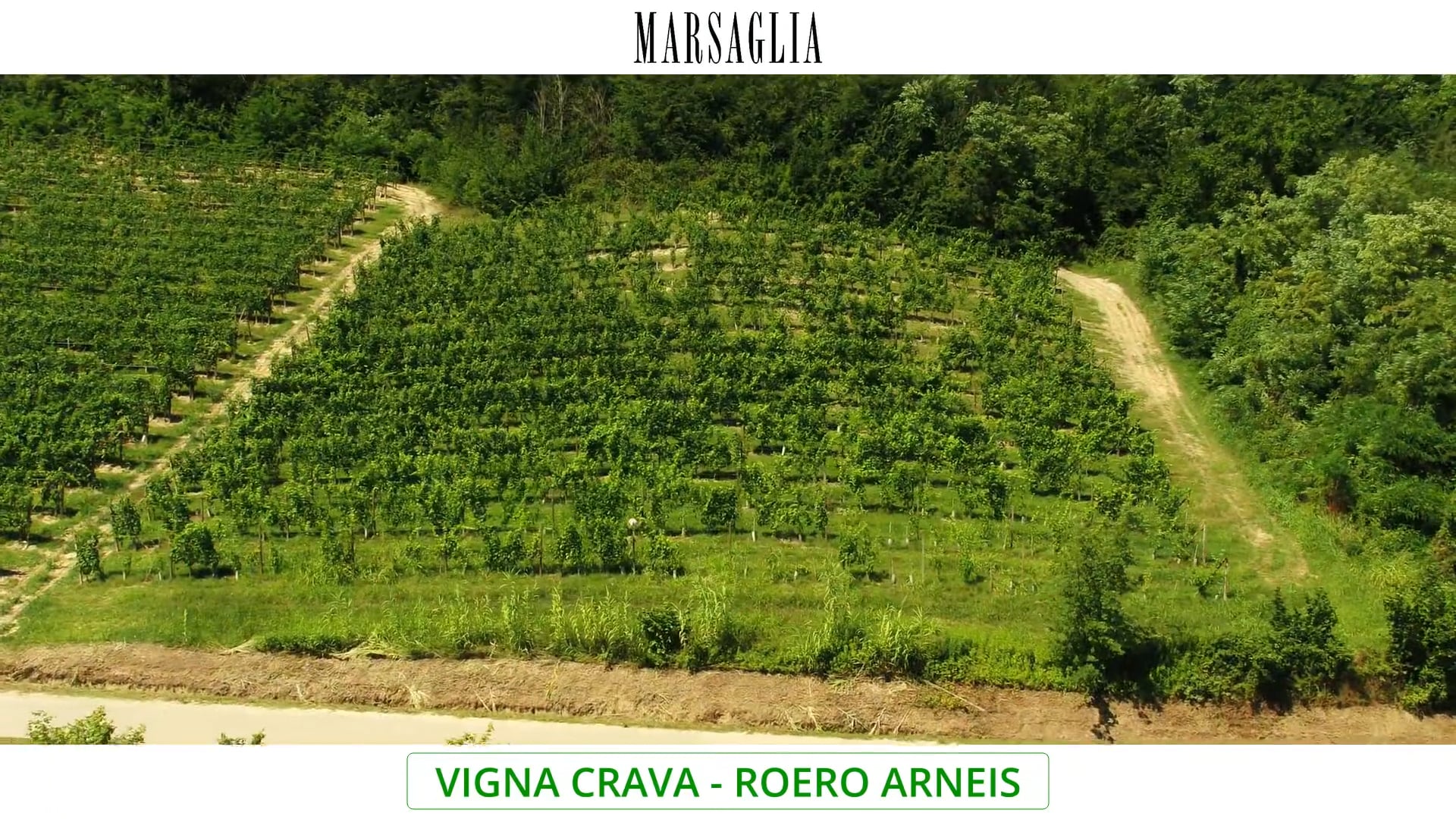 Vigna "Crava" | Vitigno Arneis