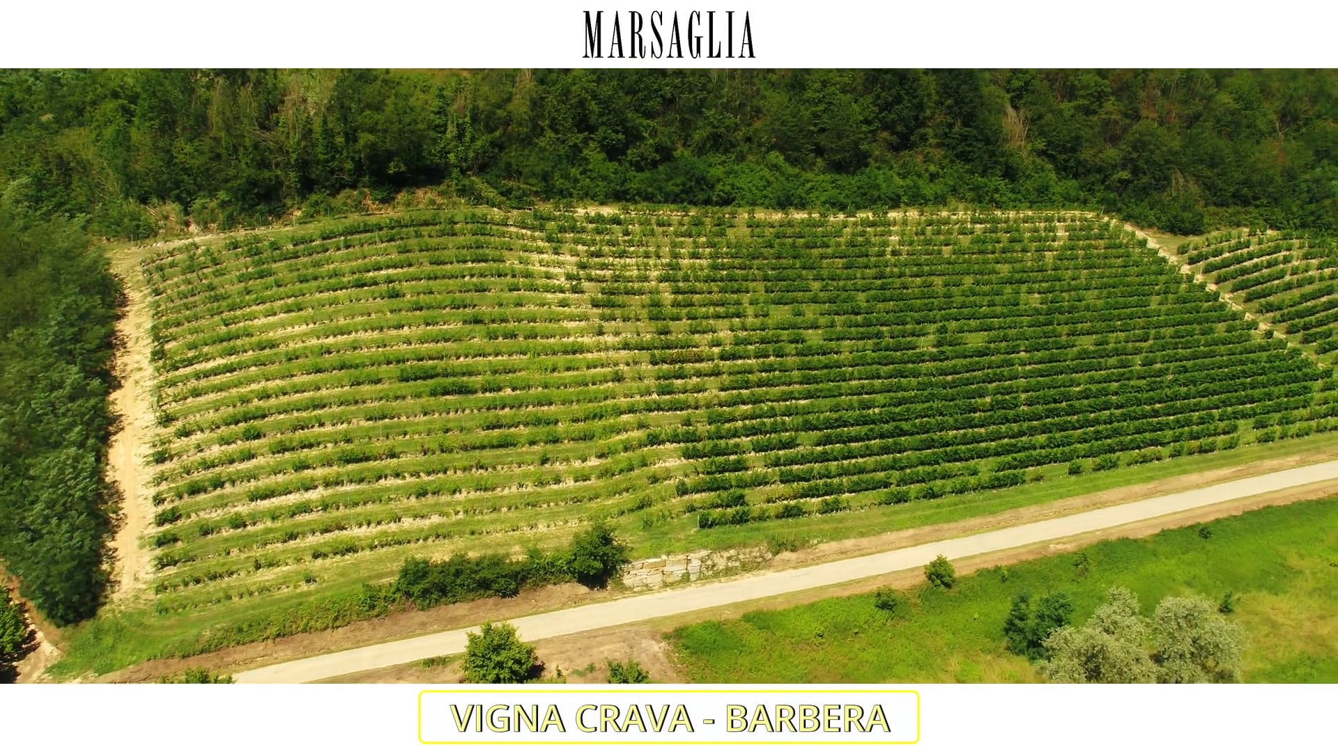 Vigna "Crava" | Vitigno Barbera