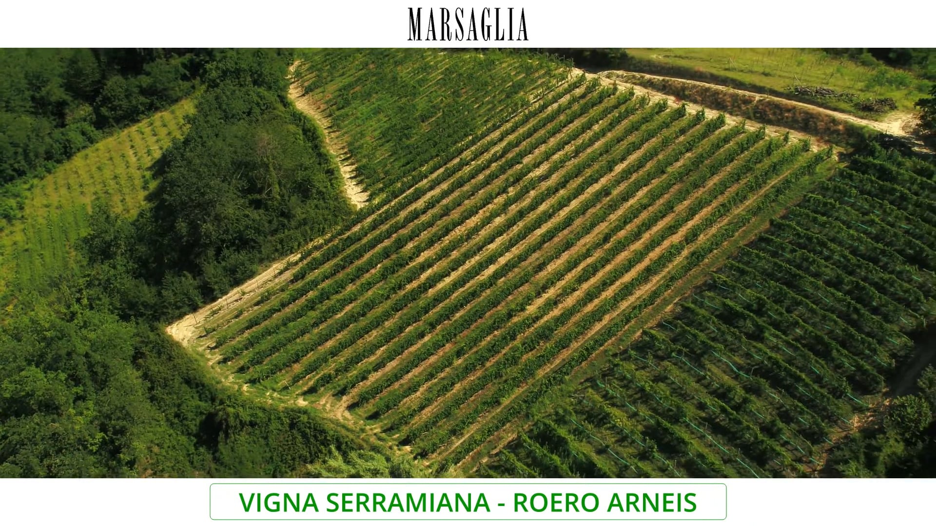 Vigna "Serramiana" | Vitigno Arneis