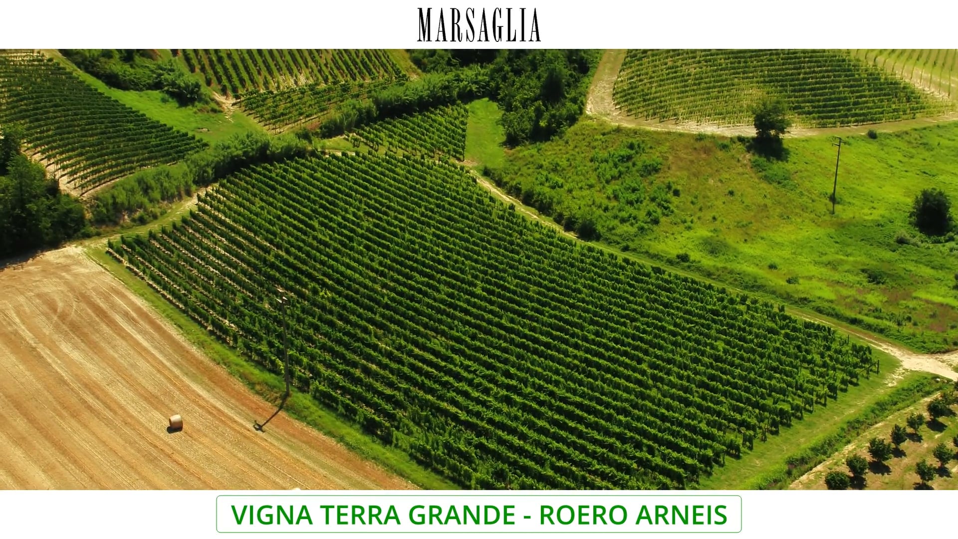 Vigna "Terregrandi" | Vitigno Arneis