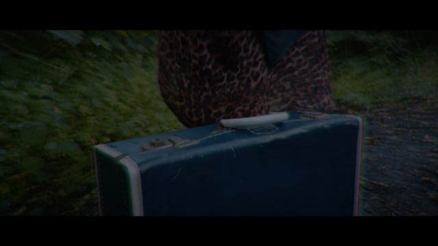 Vimeo Thumbnail (API)