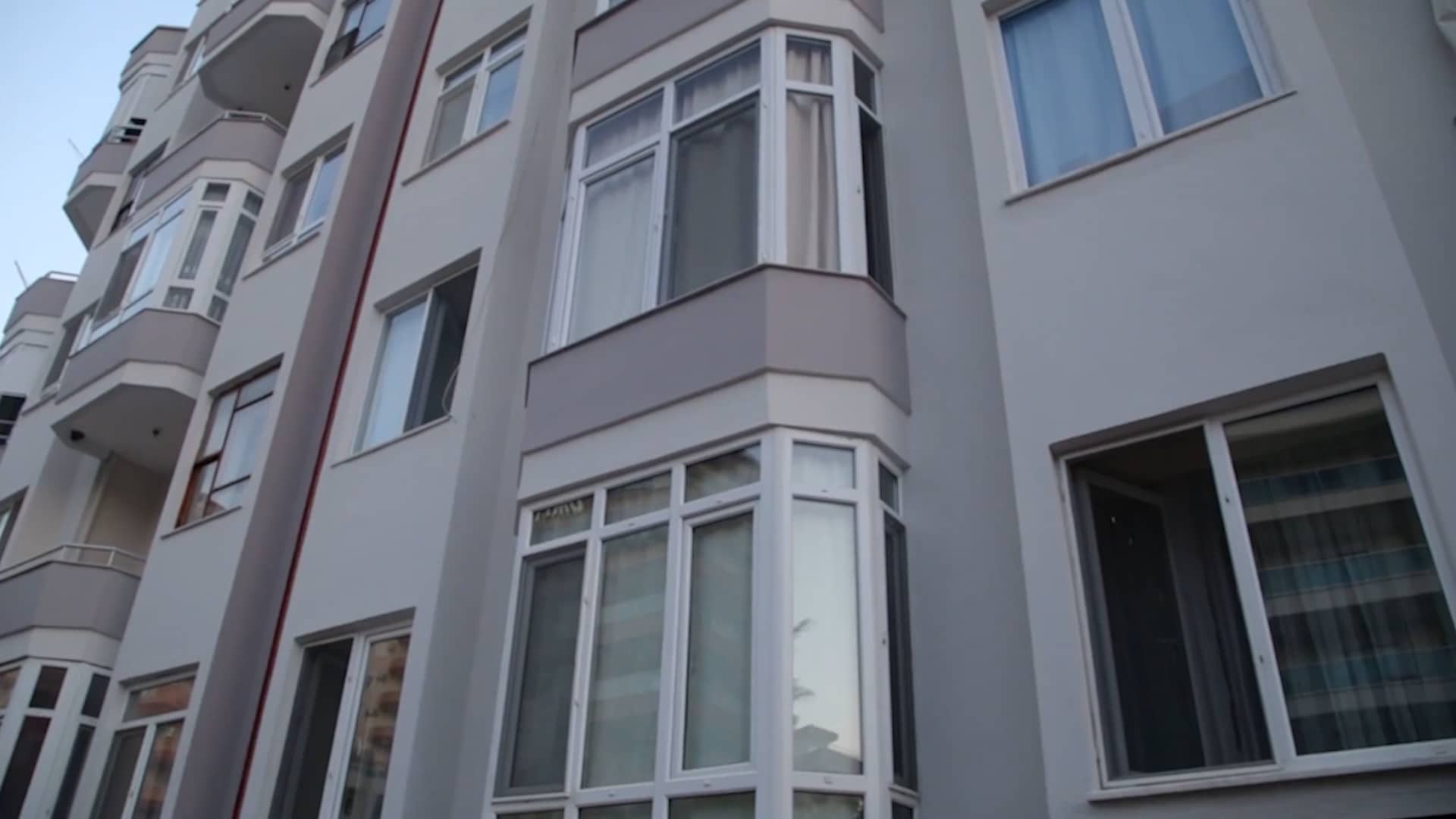 Can a landlord and his insurance company be held responsible for a dog