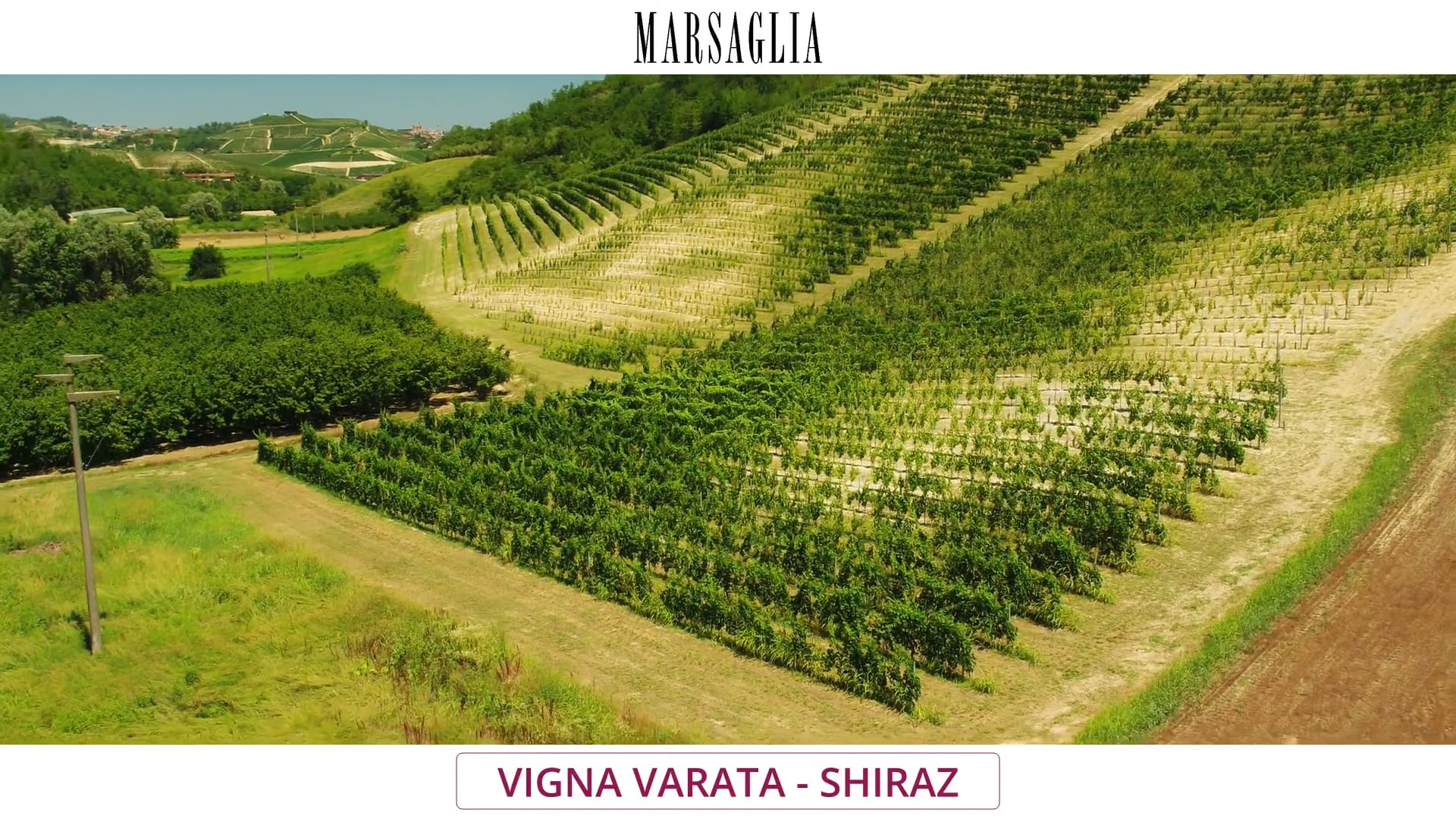Vigna "Varata" | Vitigno Shiraz