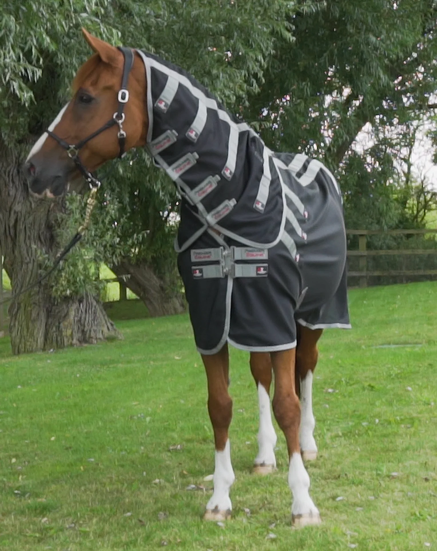 Bi-Polar Magnetic Horse Rug with Neck Cover