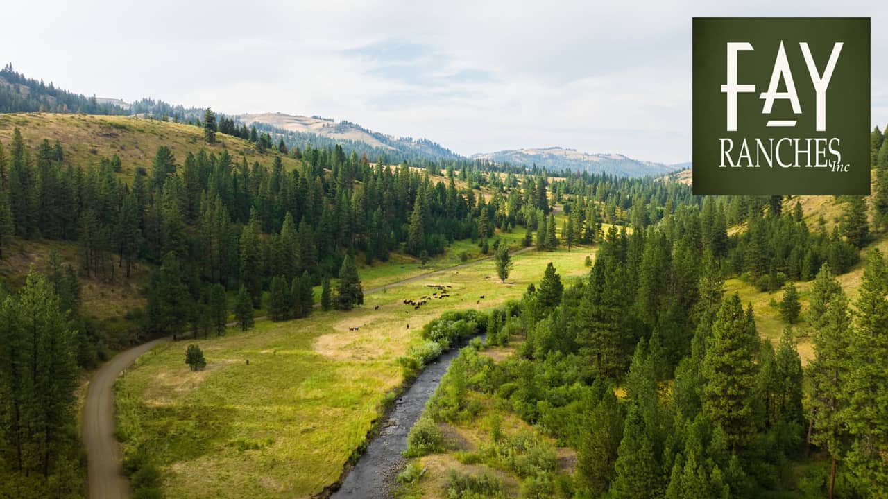 Sanctuary on Third Fork Ola, Idaho on Vimeo